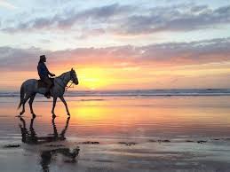 horse riding