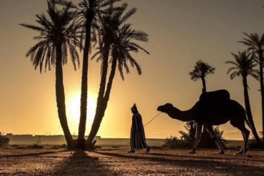 Best Placs to watch sunset