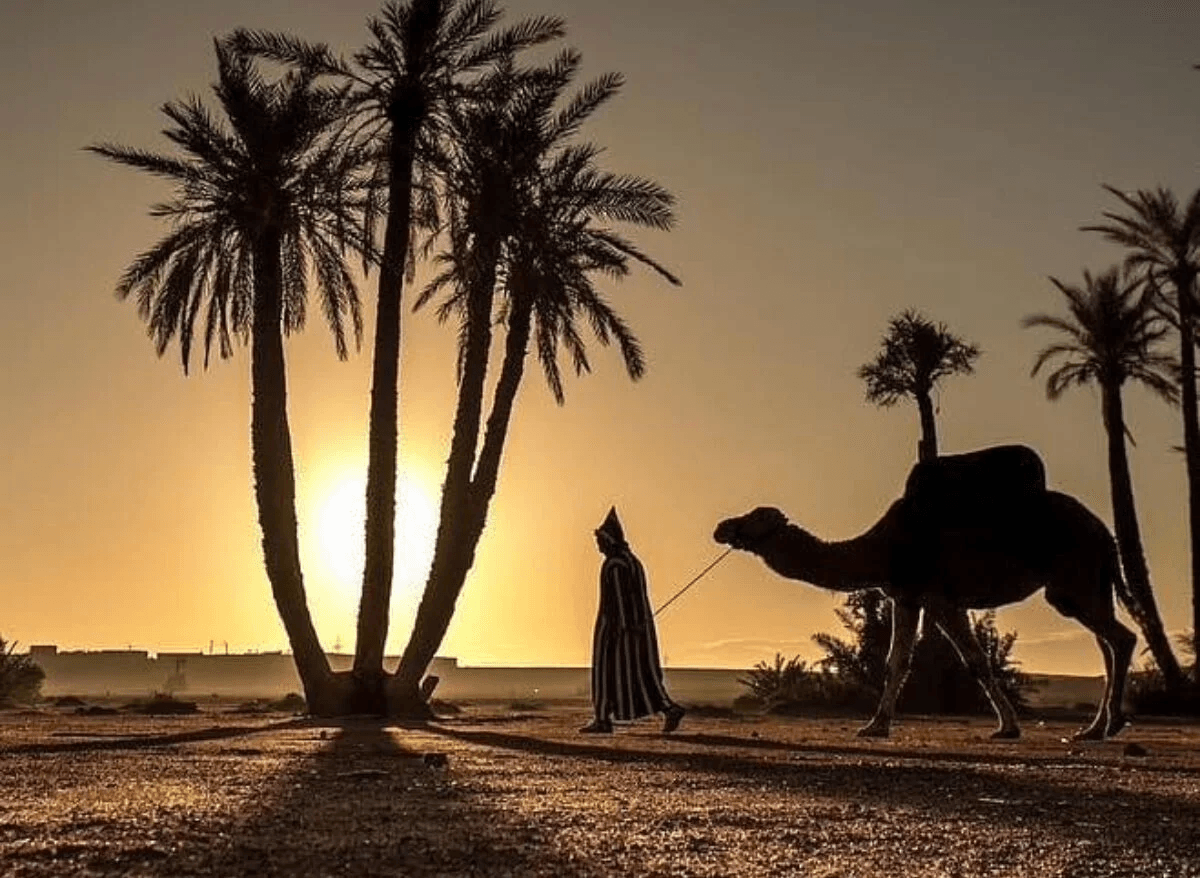 5 Best Places to Watch Sunset in Marrakech