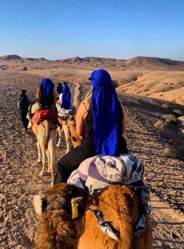 balade en dromadaire désert d’Agafay